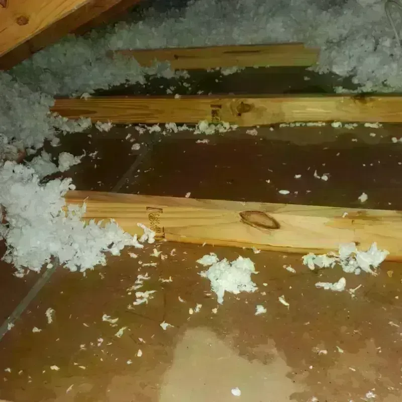 Attic Water Damage in Polk County, AR