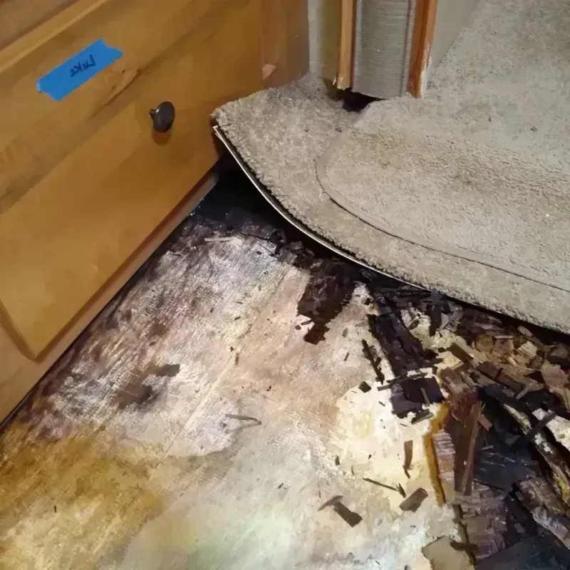 Best Wood Floor Water Damage Service in Polk County, AR